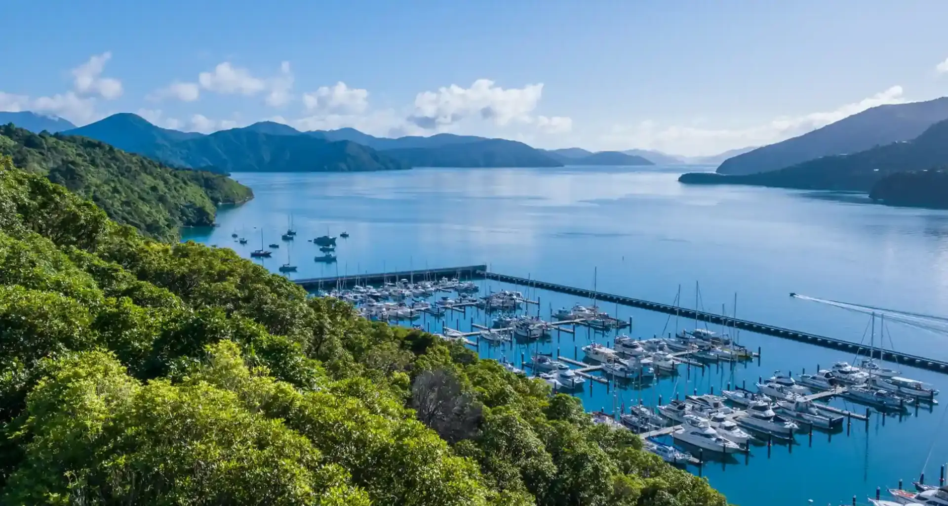 OIO Consent - Overseas Investment Office New Zealand