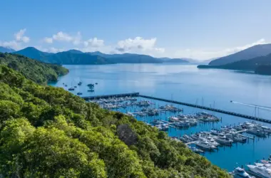 OIO Consent - Overseas Investment Office New Zealand