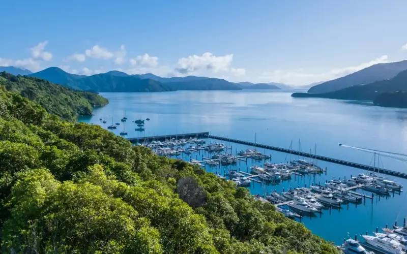 OIO Consent - Overseas Investment Office New Zealand