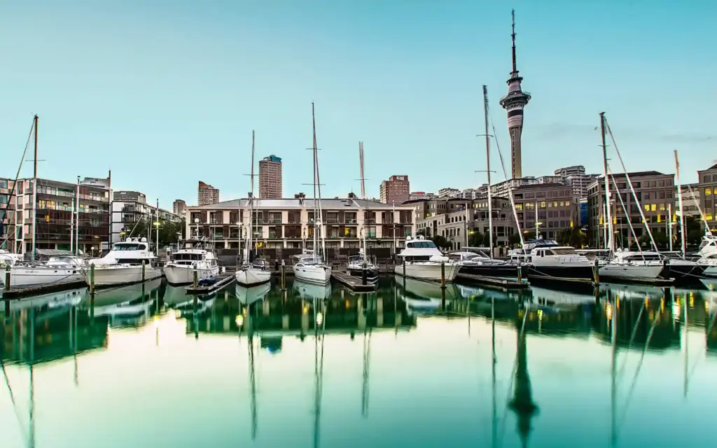 Property Management, Property portfolio management