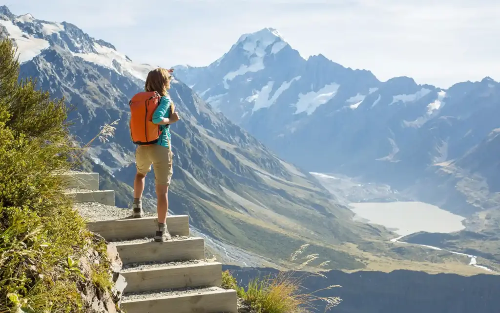 Buyer's advocate New Zealand