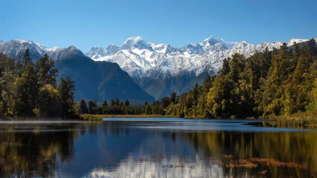 Living in New Zealand 25 years review