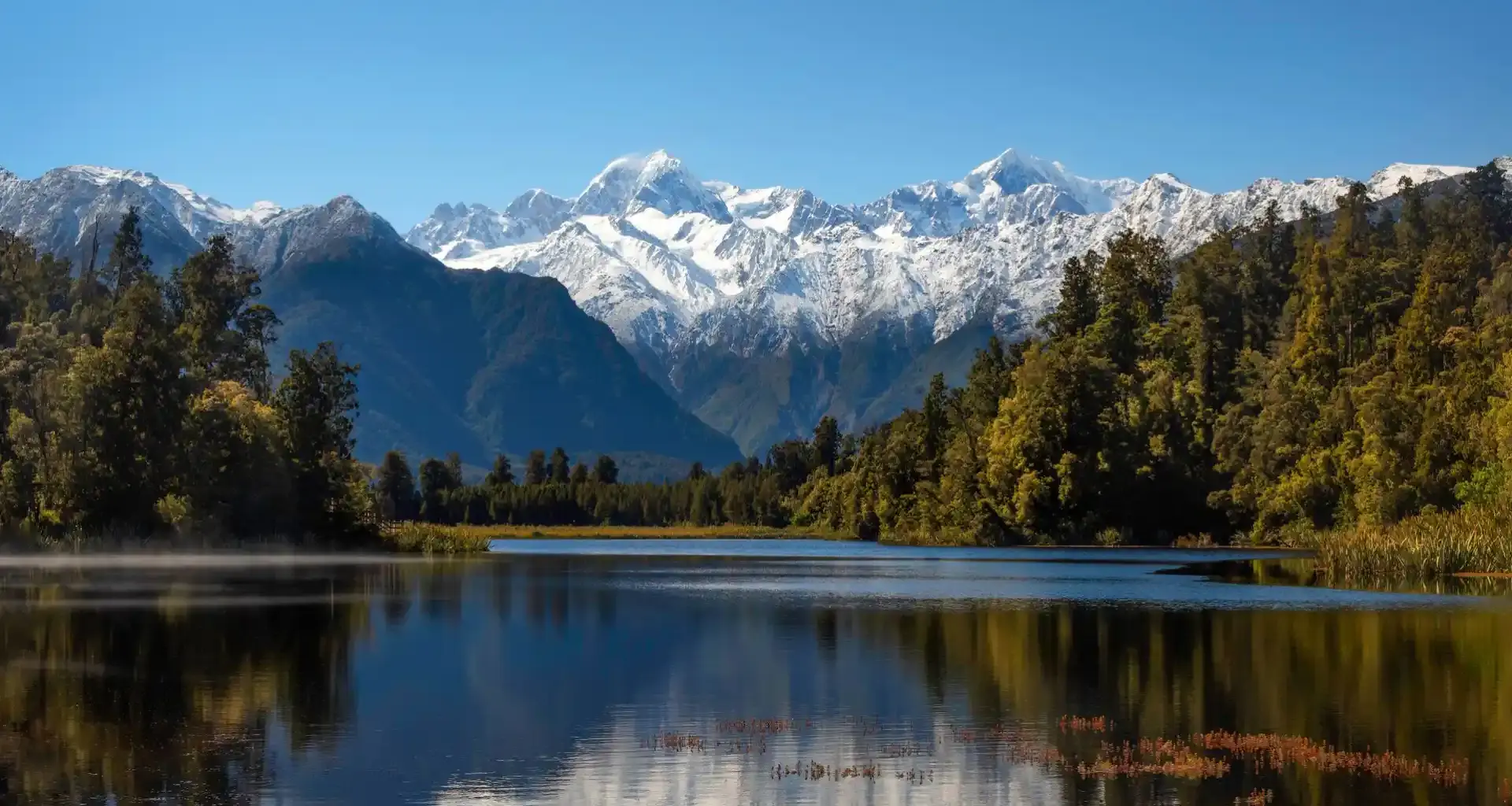 Living in New Zealand 25 years review