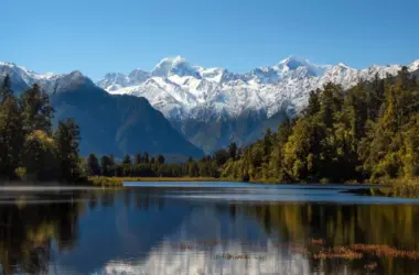 Living in New Zealand 25 years review