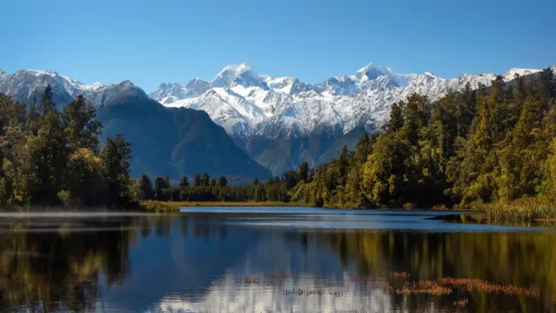 Living in New Zealand 25 years review