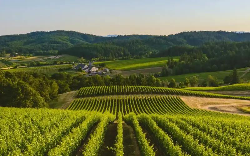 off-market property new zealand