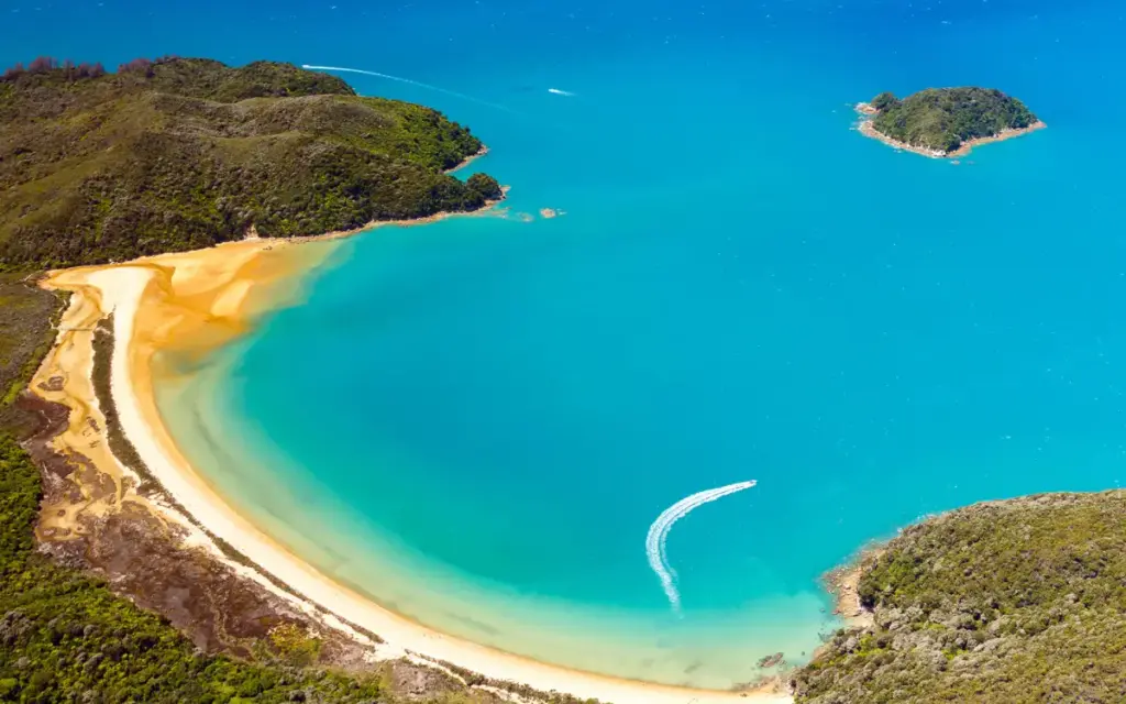 buying property in New Zealand 2026