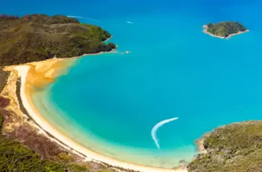 buying property in New Zealand 2026