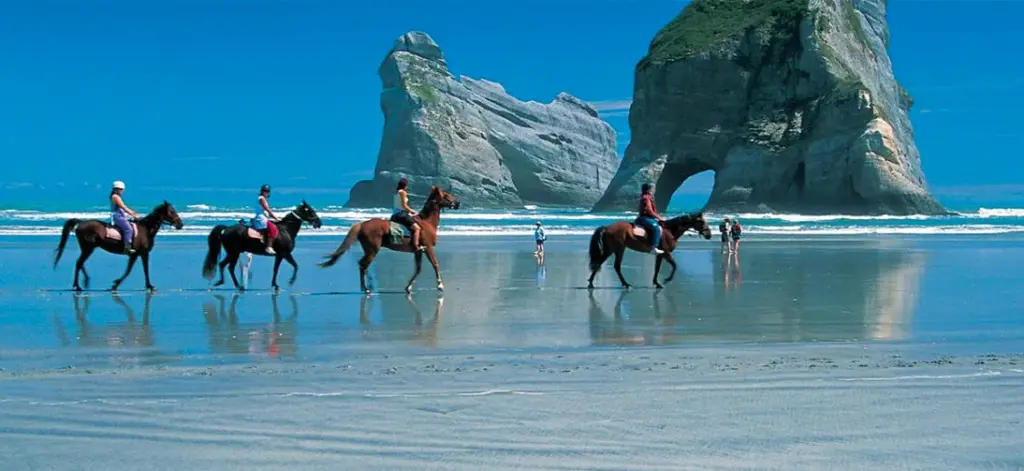 Is New Zealand a Good Place to Live? 4 Horse riding West Coast South Island New Zealand